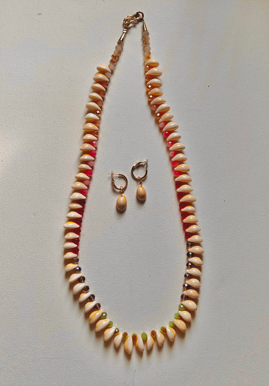 Cowrie shell set